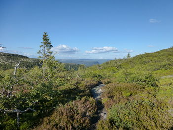 Scenic view of landscape against sky