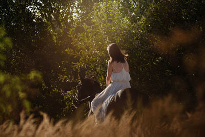 Rear view of woman sitting on the horse 