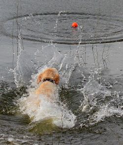 View of water in water