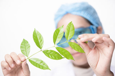 Scientist examining plants in laboratory