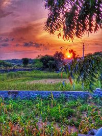 Scenic view of field against sky during sunset