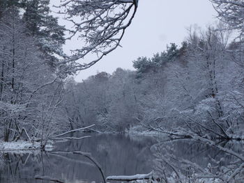 Bare trees by lake against sky during winter