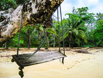 Scenic view of trees at beach against sky