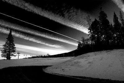 Road by trees against sky