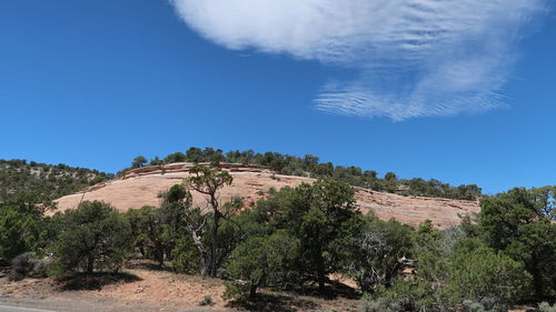 Trees on landscape against clear blue sky