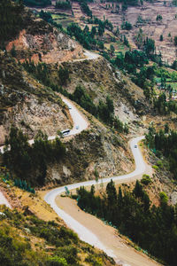 High angle view of road amidst trees