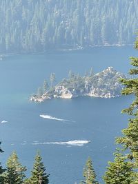 High angle view of sea and trees