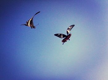 Low angle view of kite flying in sky