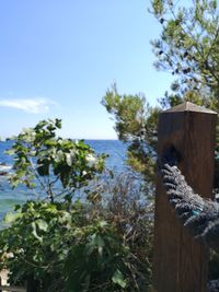 Low angle view of wooden post against sky