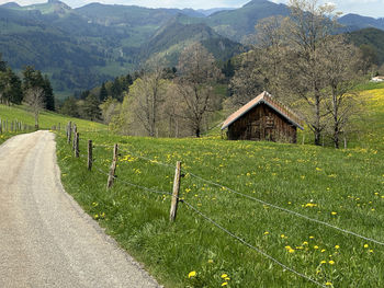 Scenic view of field against mountain