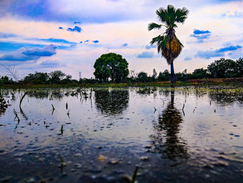Scenic view of lake against sky