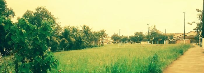 Footpath on grassy field