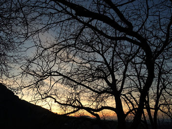 Low angle view of silhouette bare trees against sky at sunset