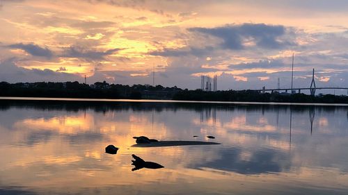 Silhouette birds on lake against sky during sunset