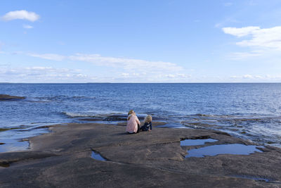 View of birds on beach against sky