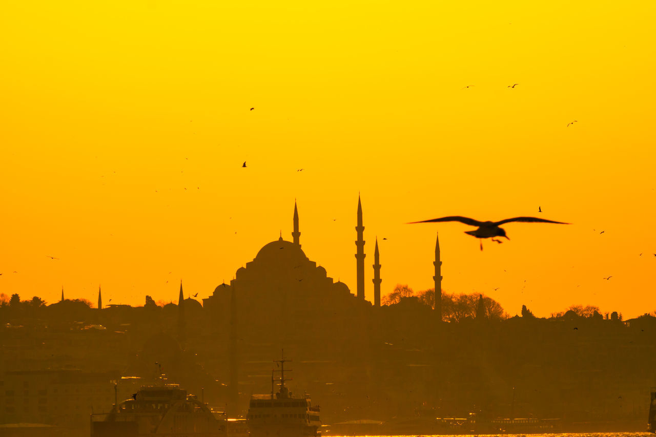 SILHOUETTE OF BIRDS FLYING OVER MOSQUE