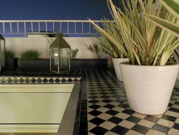 Potted plants by swimming pool at home