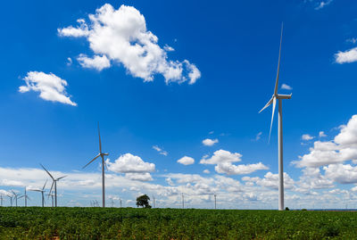 Landscape of windmills for electric power production in cassava field 