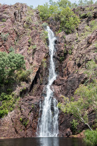 Scenic view of waterfall in forest