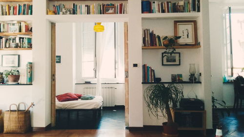 Potted plant on shelf at home