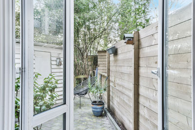 Potted plants on window sill of building