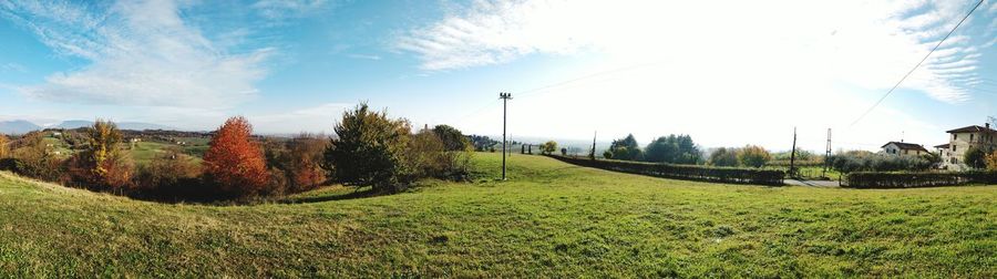 Panoramic shot of trees on field against sky