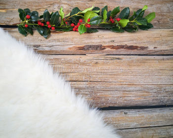 High angle view of white flowering plants on wood