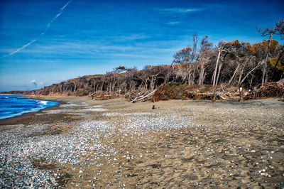 Scenic view of beach against blue sky