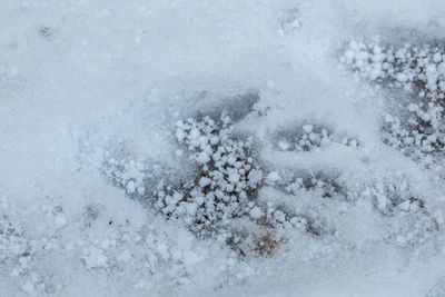 High angle view of snow covered land