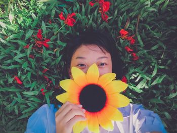 Portrait of man holding flowering plant