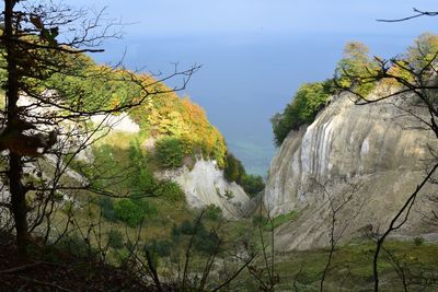 Scenic view of forest against sky during autumn