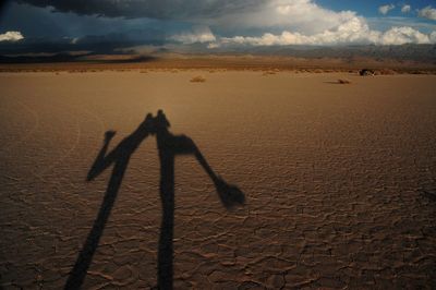 Shadow of people on sand