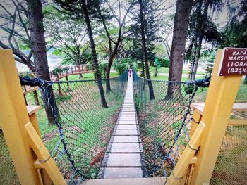 Footpath amidst trees in forest