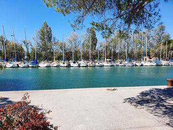 Boats moored in harbor