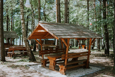 Empty chairs and table against trees in forest