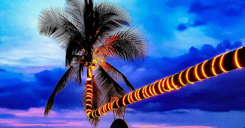 Low angle view of coconut palm tree against blue sky