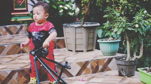 Cute boy looking away in potted plant on table