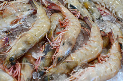 Full frame shot of fish for sale in market