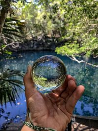 Cropped hand holding crystal ball against lake in forest