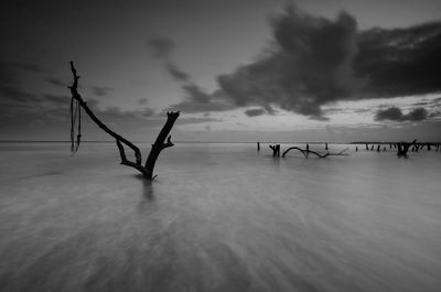 Silhouette bare tree by sea against sky during winter