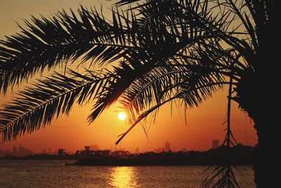 Silhouette palm tree by sea against sky during sunset