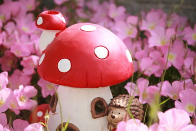 Close-up of pink flowers