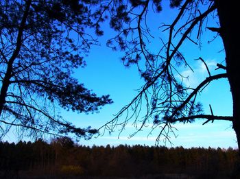Silhouette trees on landscape against blue sky