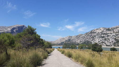 Footpath amidst plants against sky