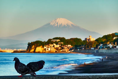 Scenic view of sea and snowcapped mountains against clear blue sky