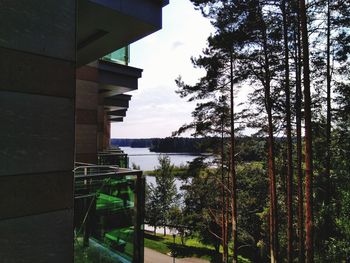 Trees and buildings against sky