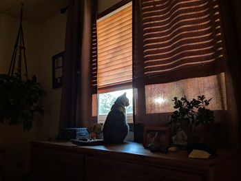 Statue on table at home