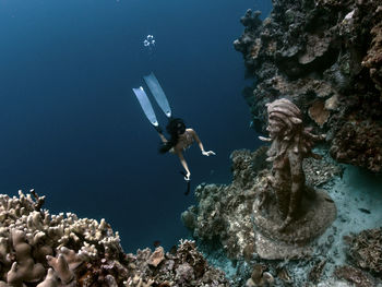 Meeting medusa in the coral garden