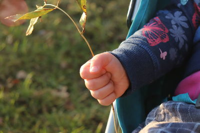 Cropped hand of baby holding plant outdoors