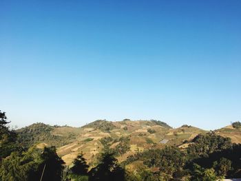 Scenic view of landscape against clear blue sky